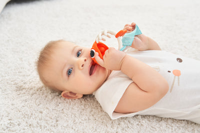 The Ultimate Guide to Choosing the Perfect Teether Toy for Your Baby