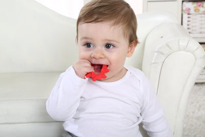 When Can Babies Eat Baby Food